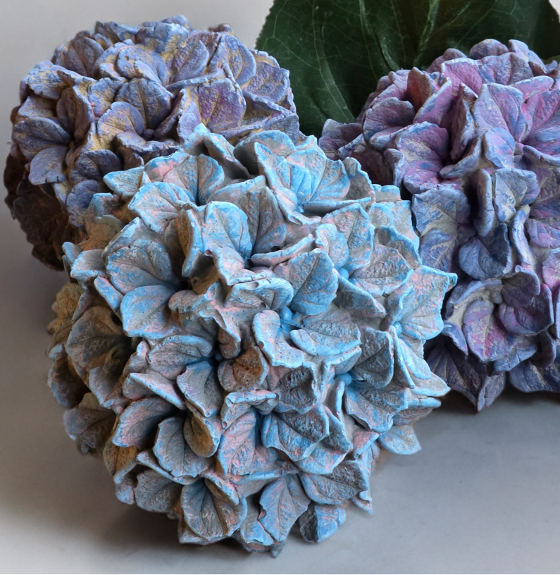 Concrete Blooms
