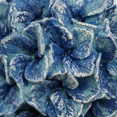 Concrete Hydrangea — Concrete Blooms