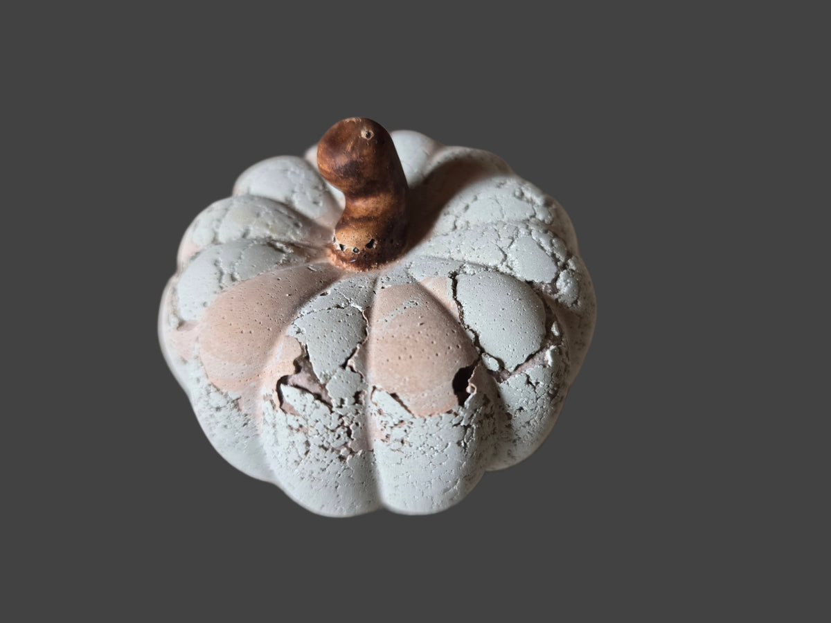 Weathered Concrete Pumpkins - Gallery Collection