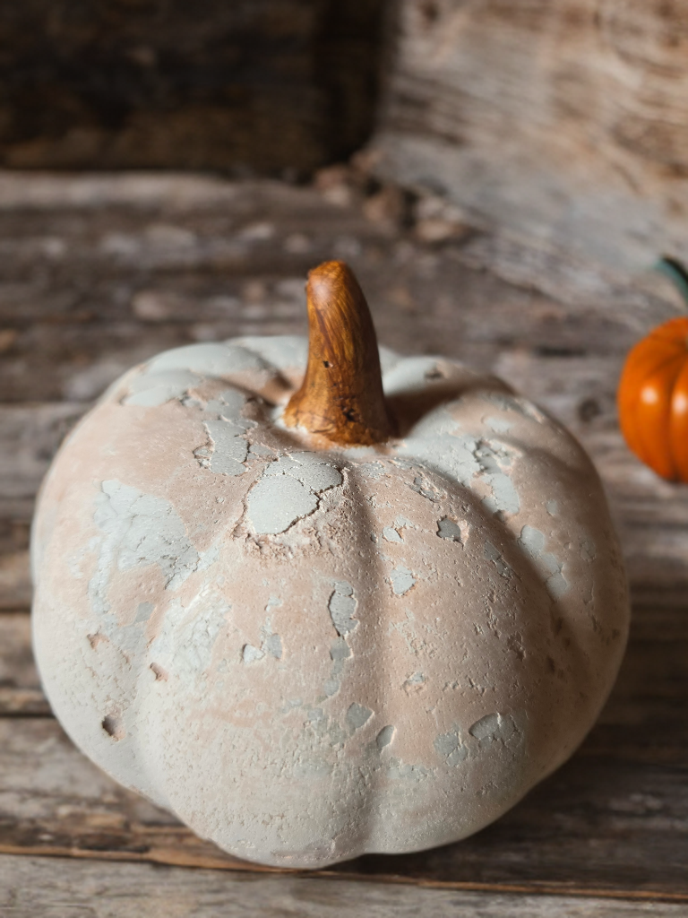 Weathered Concrete Pumpkins - Gallery Collection