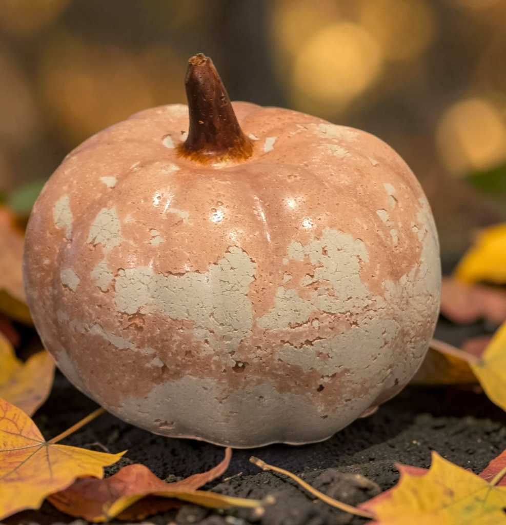 Weathered Concrete Pumpkins - Gallery Collection