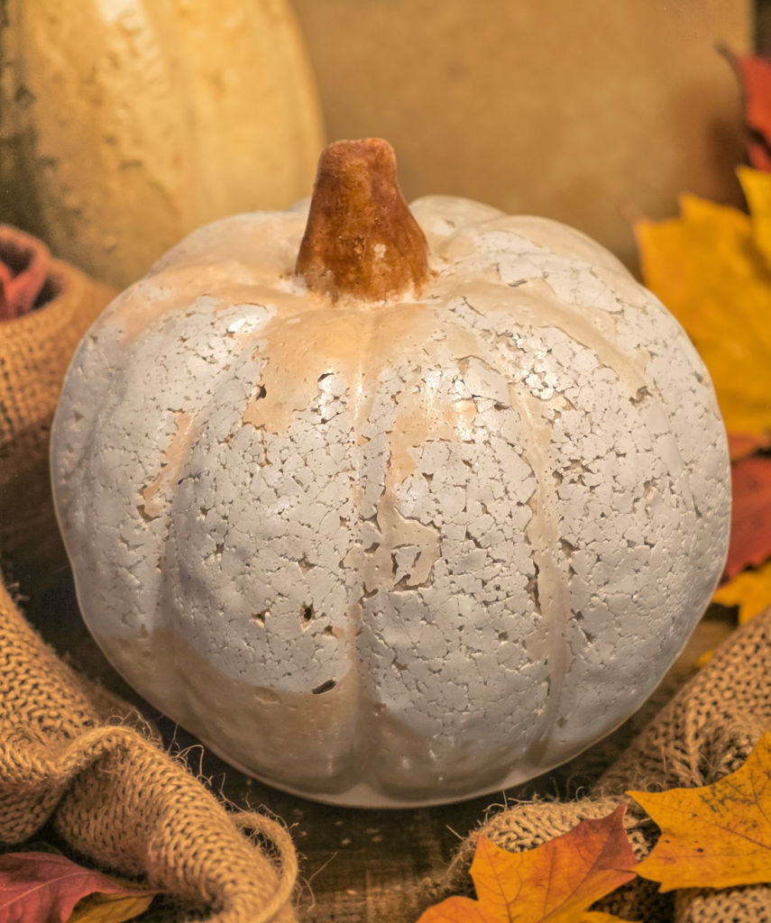 Weathered Concrete Pumpkins - Gallery Collection