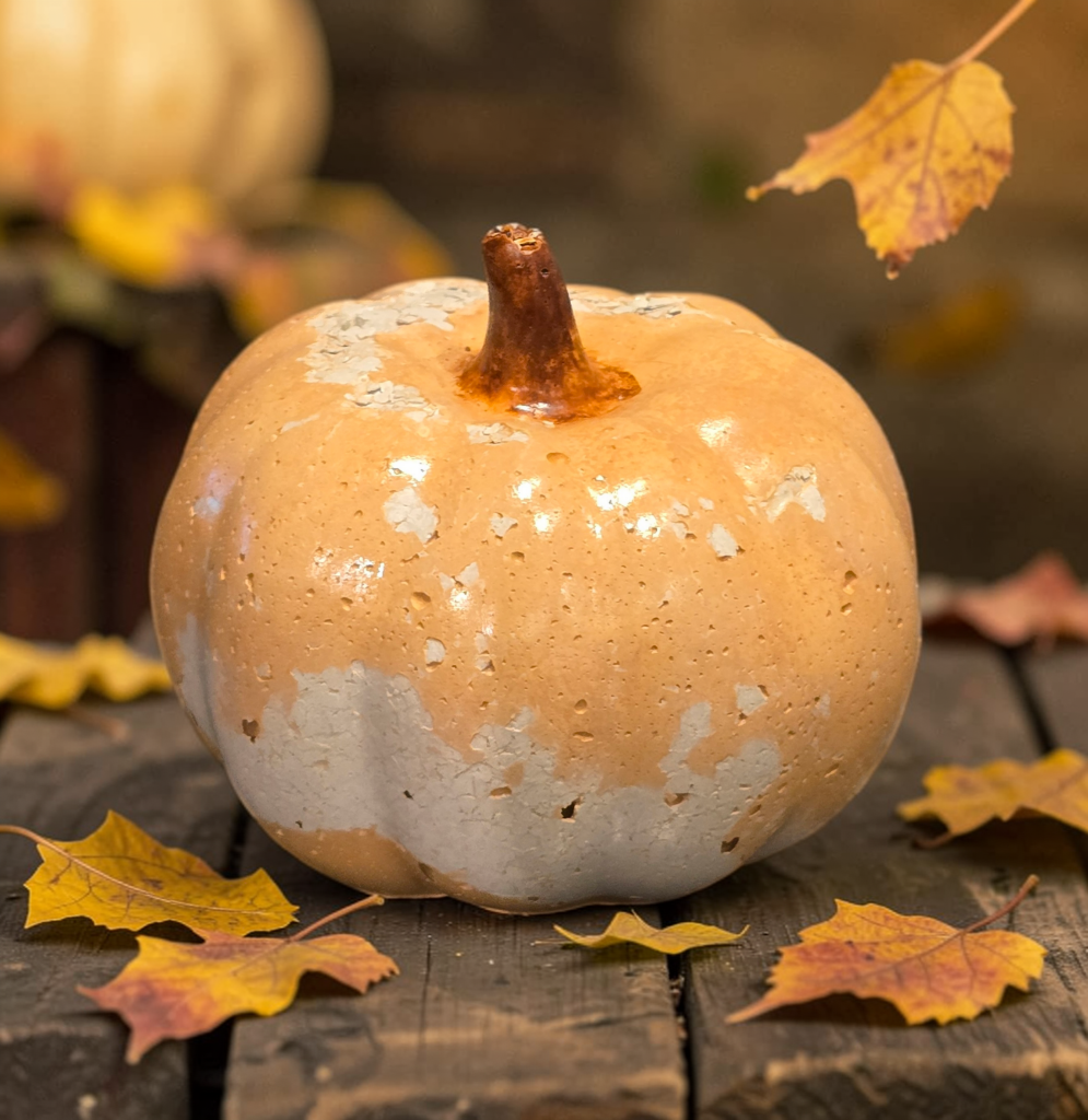 Weathered Concrete Pumpkins - Gallery Collection