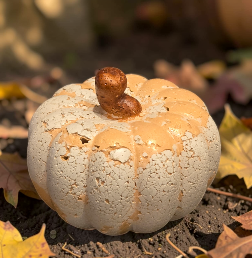 Weathered Concrete Pumpkins - Gallery Collection
