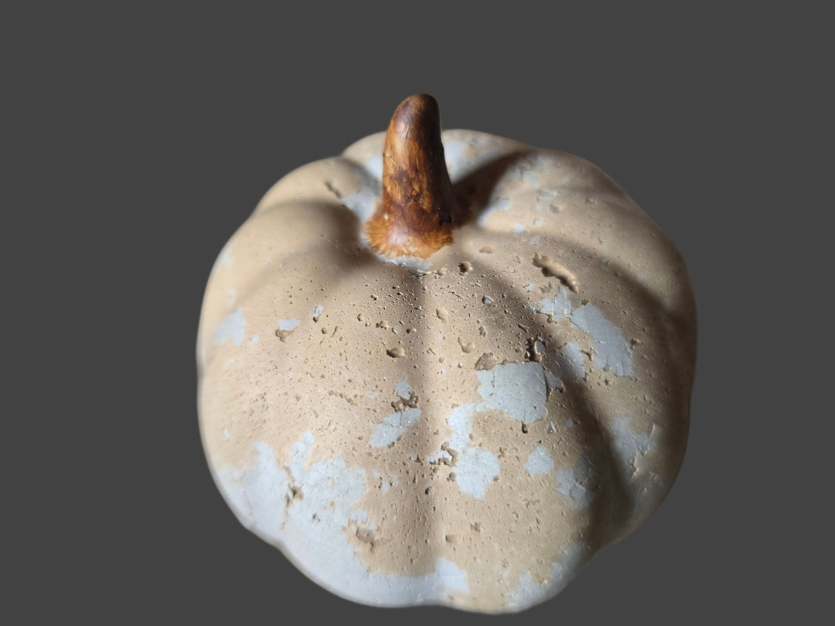 Weathered Concrete Pumpkins - Gallery Collection